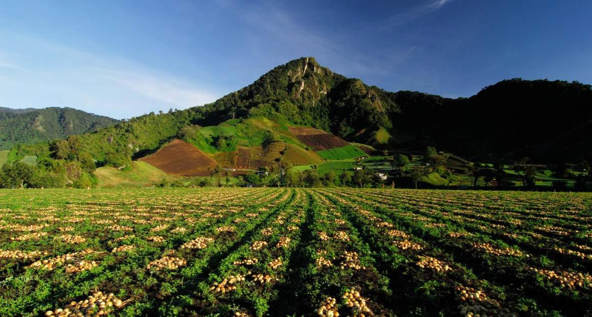 Panamá: turismo rural por distrito Omar Torrijos